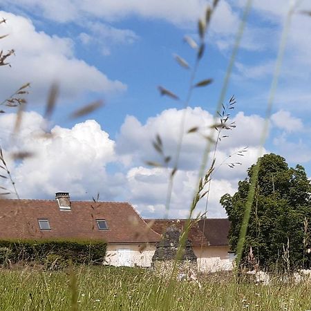 Gites Le Clos De Lamie Avec 2 Piscines Privees Fossemagne Eksteriør billede