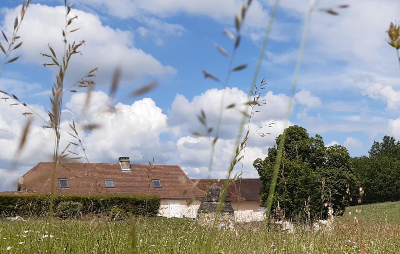 Gites Le Clos De Lamie Avec 2 Piscines Privees Fossemagne Eksteriør billede